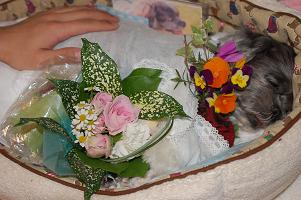 641918a6.jpg