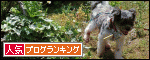 br_decobanner_20100205234434