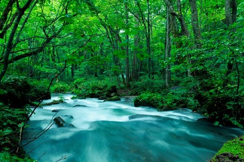 AME_IMG_6990_TP_V1