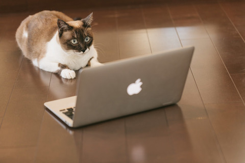 CAT9V9A9145_TP_V1