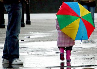 umbrella