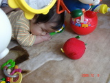 ͷ�ӤĤ���ƿ���haru