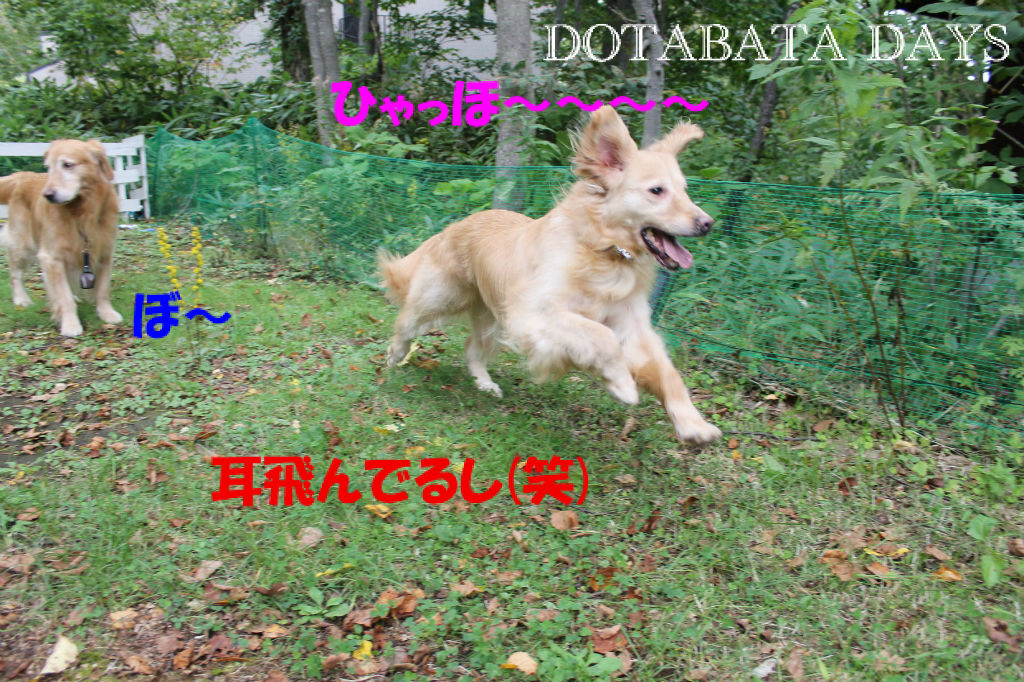 BlogPaint