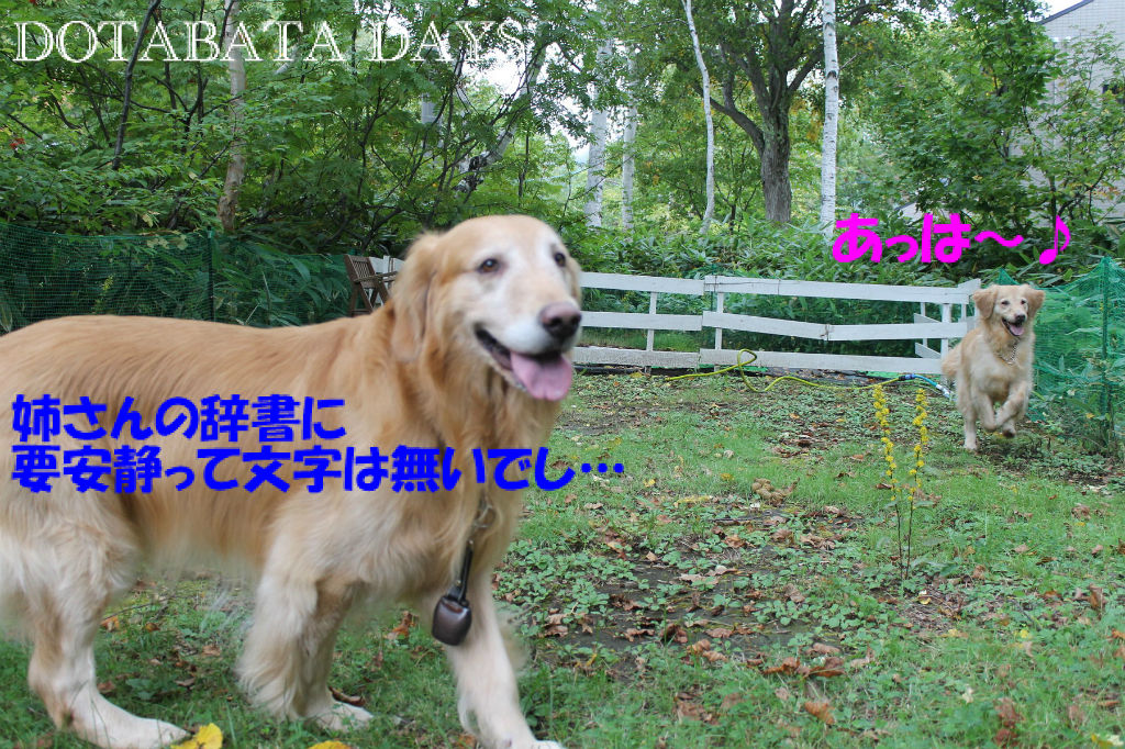 BlogPaint