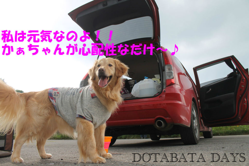 BlogPaint