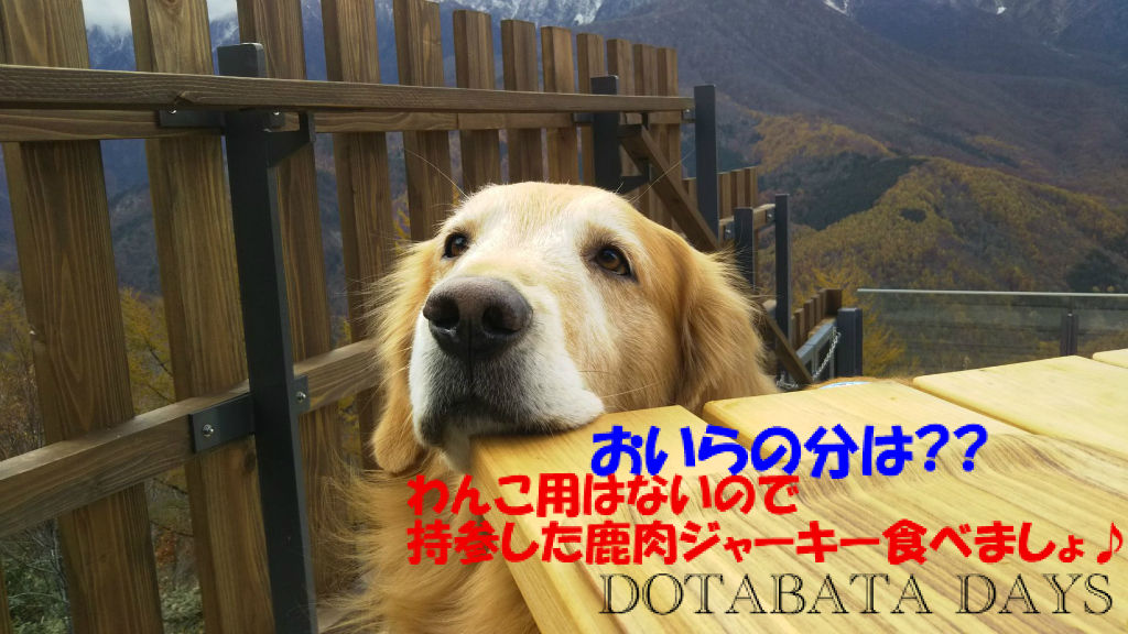 BlogPaint
