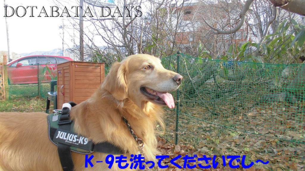 BlogPaint