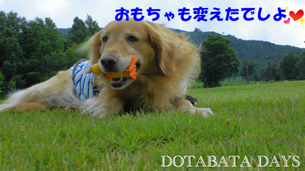 BlogPaint