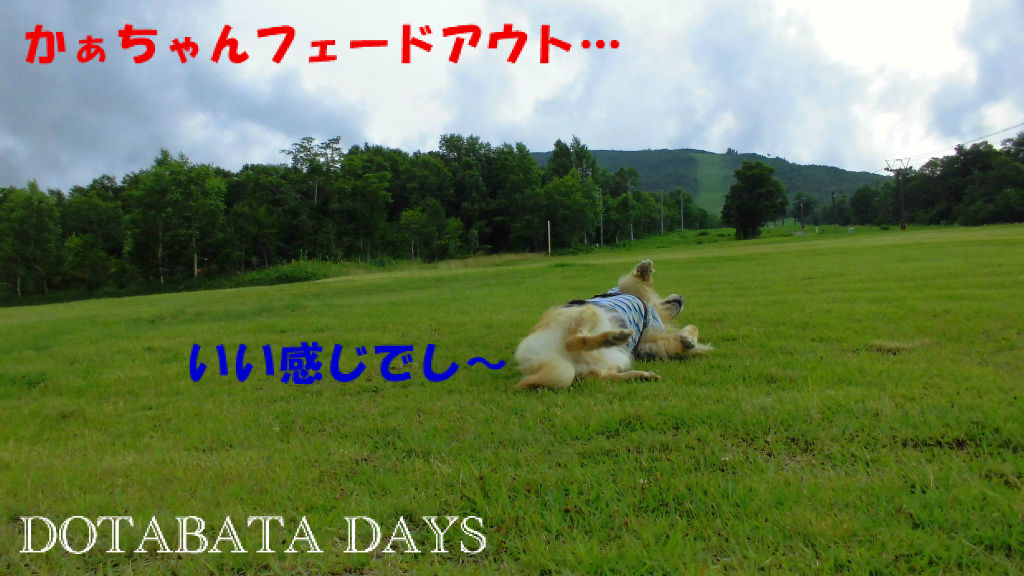 BlogPaint