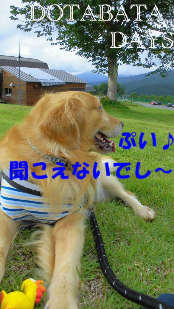 BlogPaint