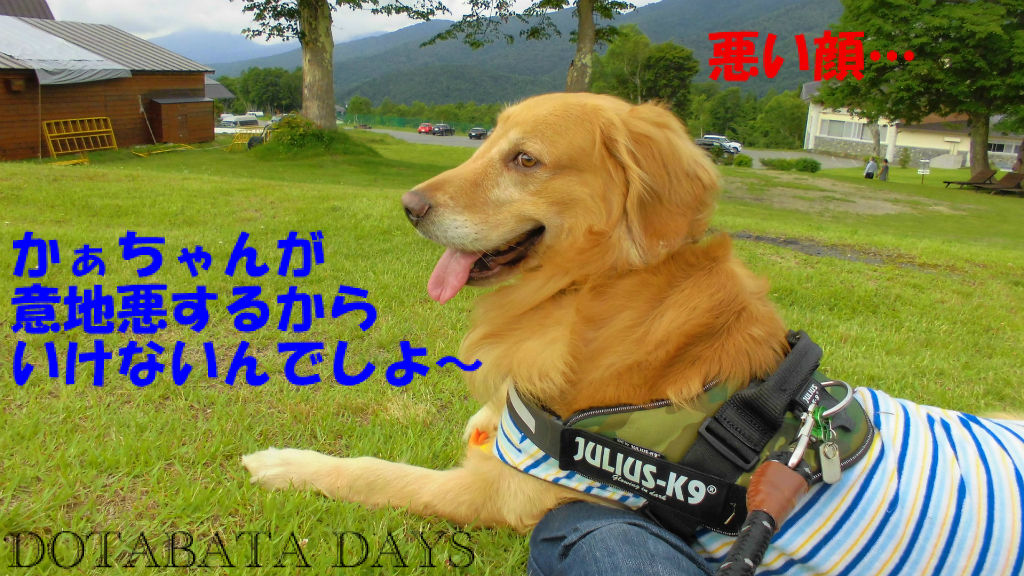 BlogPaint