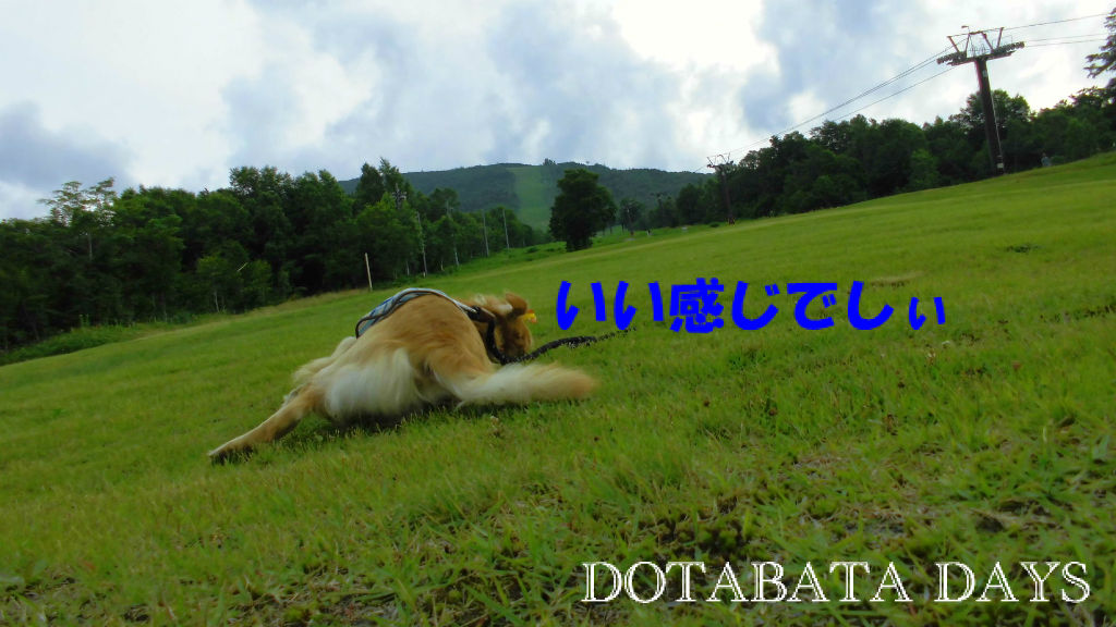 BlogPaint