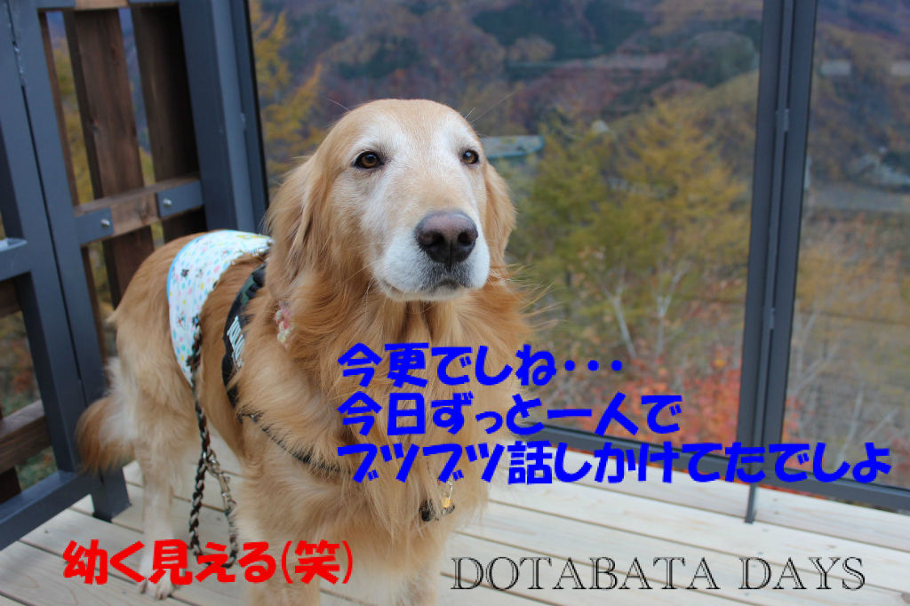BlogPaint