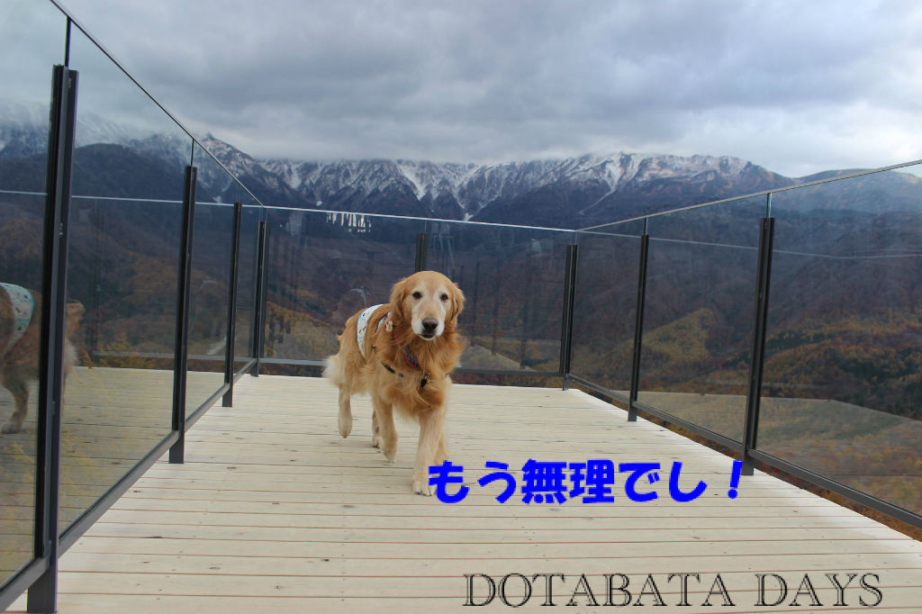 BlogPaint