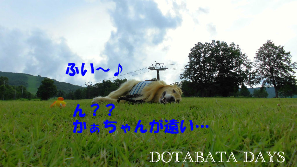 BlogPaint
