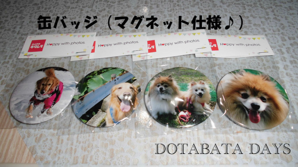 BlogPaint