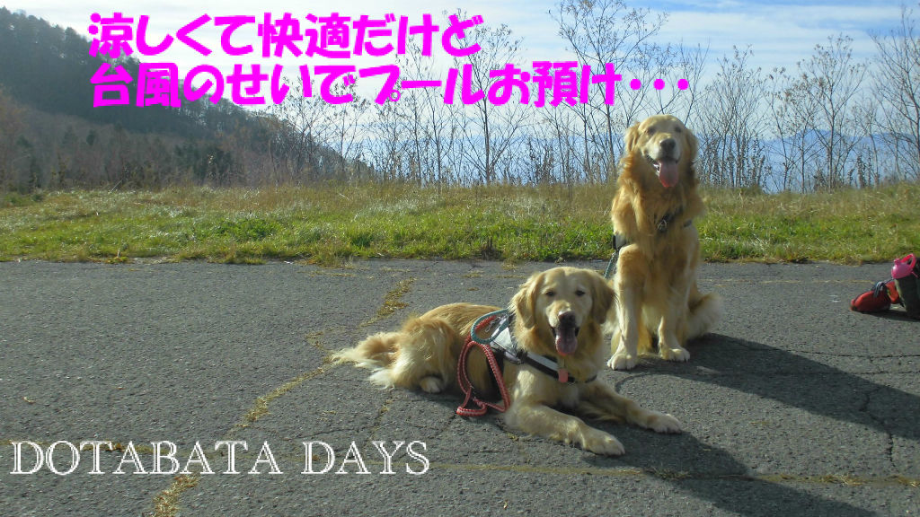 BlogPaint