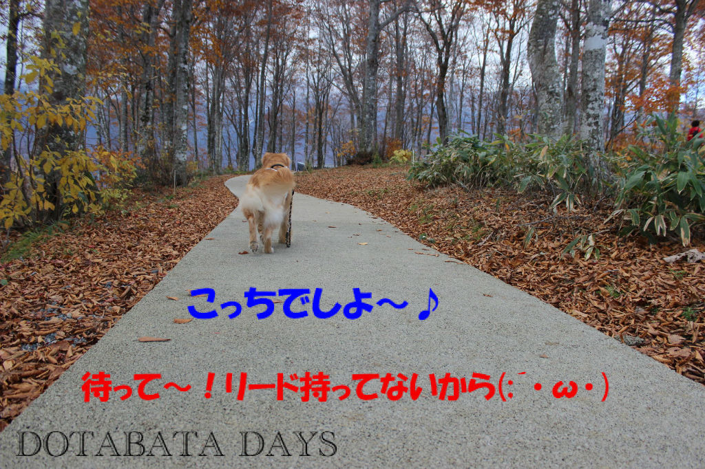BlogPaint