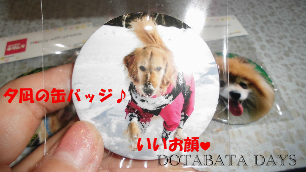 BlogPaint