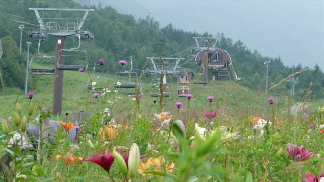 $ピュアティマスターのアウトドアな1日