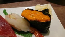 IMG_153380808153F
