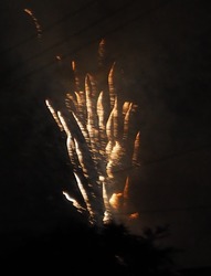 花火 (8)