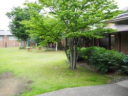 中原美術館