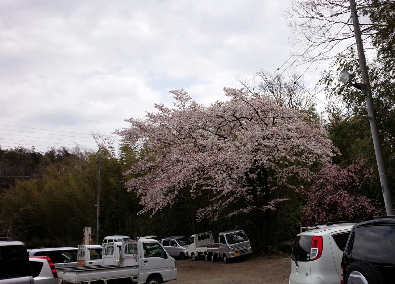 IMG_20190414_122910