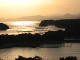 805a19f4.jpg