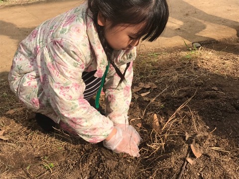 20181117 マルシェ_181117_0103