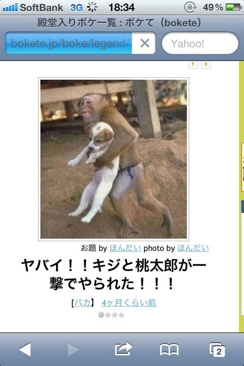 猿と犬はハグ 又は攫われた 一瞬的に笑える画像 面白い画像 まとめ