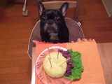2008050203