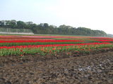 2008050301