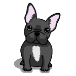 fran-gif