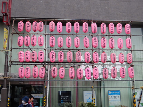 桜まつり 001