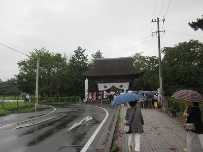 IMG_7188