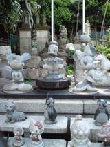 d086f066.jpg