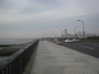 uts 029