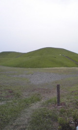 769f5b61.jpg