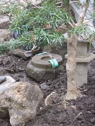 e4199811ed7883818e53-L.JPG