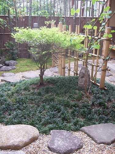 DSCF2260