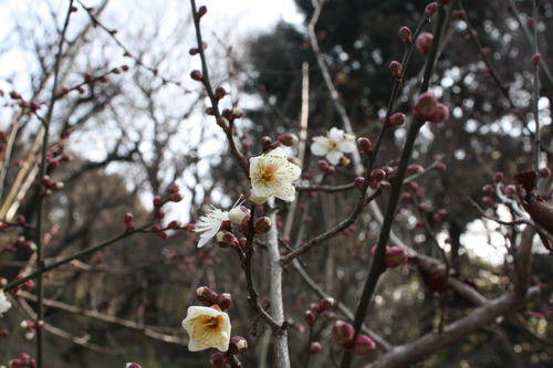 IMG_3599