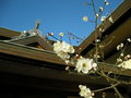 DSCN3588