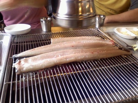 unagi1