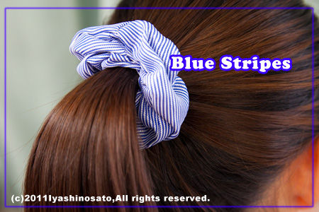 0511blue_line
