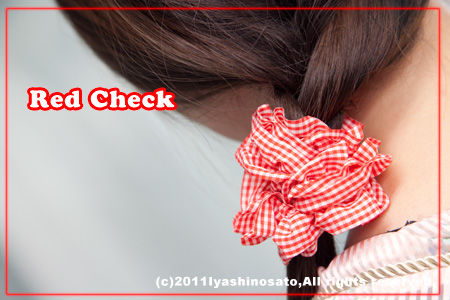 0511red_check