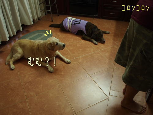 2-7-6