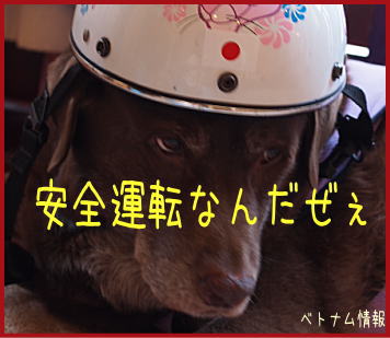 �ˤۤ�֥���¼ ��������֥��� �٥ȥʥ�����