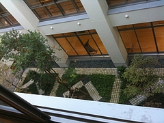 o0800060010723664918