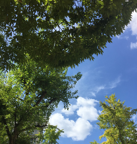 写真 2017-09-21 12 24 18